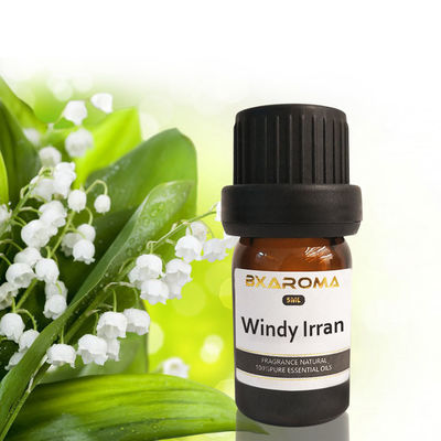 kaufen Auto-Lufterfrischer-Duft 500ml Ilan Aroma Diffuser Essential Oils stützbarer online manufacture