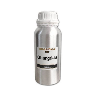 Flüssiges stützbares des Hotel-Aromatherapie-Aroma-Diffusor-ätherischen Öls